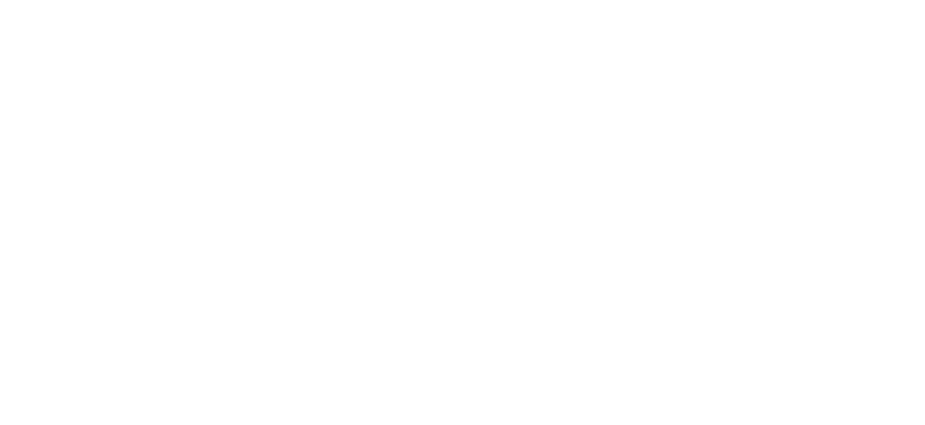 swarafinserv.com